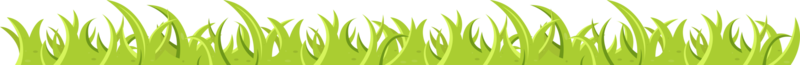 erba verde e foglie in stile cartone animato png