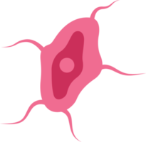 illustraties van microscopisch micro-organisme png