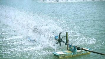 la turbina ad acqua genera ossigeno nell'allevamento di gamberetti, concetto di protezione ambientale. video