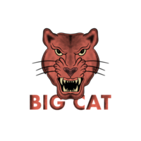 la ilustración dibujada a mano del gato grande del tigre para la sudadera con capucha de la chaqueta de la camiseta se puede utilizar para las etiquetas engomadas, etc. png