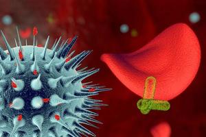 Viruses and bacteria inside the circulatory system under a microscope. Stylized 3D illustration photo