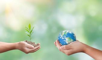 Hands holding global and seedling on blurred nature background. plant growth and eco friendly concept. Elements of this image furnished by NASA photo