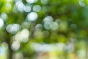 Abstract green nature bokeh background. blurred bokeh from natural leaves. photo