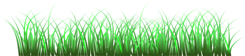 gras, groen gras, png