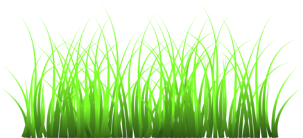 Gras, grünes Gras png