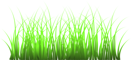 gras, groen gras, png