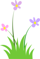 groen gras png