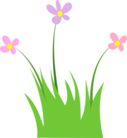 flor de grama png