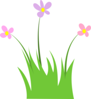 gras bloem png