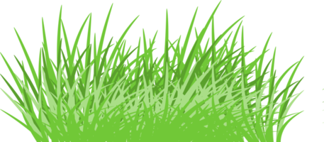 groen gras png