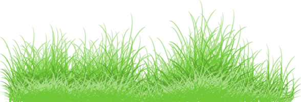 grama verde png