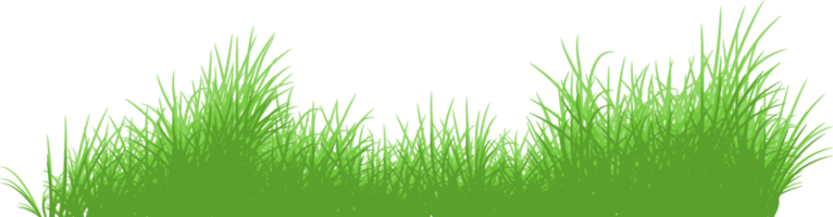 herbe verte png