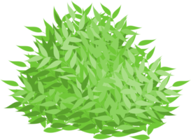 green bush, garden bush png