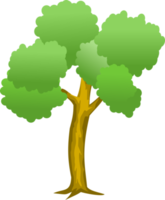 árbol png, bosque png