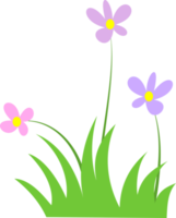 groen gras png