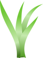 gras, groen gras png