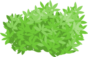 green bush, garden bush png