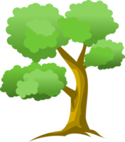 árbol png, bosque png