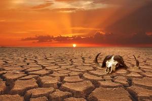 Global warming, drought, lack of rain, no seasonality The land is cracked. concept of environment change and global warming photo