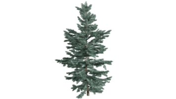 arbre forêt 3d png