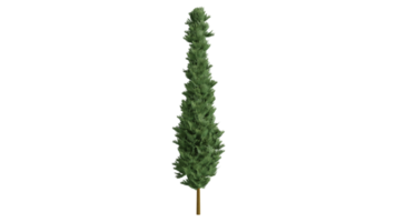 arbre forêt 3d png