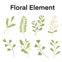 Floral and leaves set. png