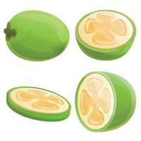 Feijoa icons set, cartoon style vector