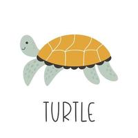 Cute hand-drawn turtle side view. Vector illustration of a wild sea animal