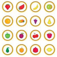 Fruit icons circle vector