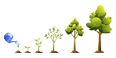 ilustración de dibujos animados de etapas de crecimiento y desarrollo de árboles. ciclo de vida de la planta vector