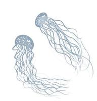 Set of jellyfish. Sea animals vector