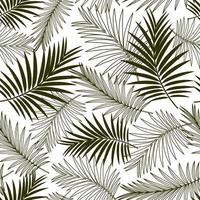 Palm leaves. Tropical seamless pattern.  Suitable for fabrics, packaging and covers. White background. Vector design.