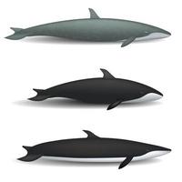 Whale blue tale fish mockup set, realistic style vector