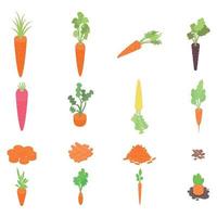 Carrot icons set, isometric style vector