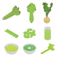 Celery icons set, isometric style vector