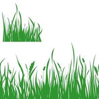 Summer or Spring Green Grass isolated on white background. Long format Seamless line horizontal Pattern and square block grass. Border. Monochrome vector flat illustration
