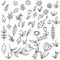 Vector spring set with blossoming plants, leaf, flowers and brunches floral illustration.
