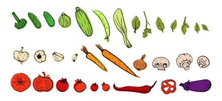 conjunto de menú de vector colorido de boceto de ilustración dibujado a mano de verduras. puerro, hierbas culinarias, ajo, pepino, pimiento, cebolla, apio, espárragos, col, champiñón, zanahoria, tomate, berenjena, guisantes y etc.