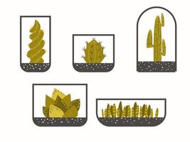Set of geometric cactus an succulent florariums. Terrariums set with plants, gray green yellow home decor. Glass bottles exotic plants pots vector illustration