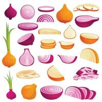 Onion icons set, cartoon style vector