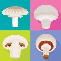 Champignon icons set, flat style vector