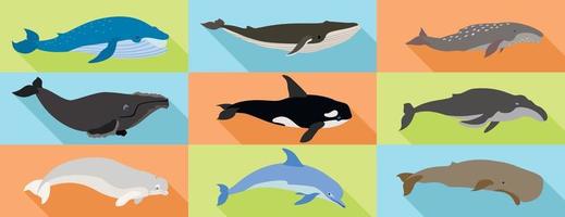 conjunto de iconos de ballenas, estilo plano vector