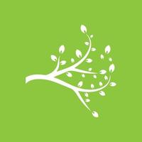 Vector branch , Hand drawn illustration of tree branch design template