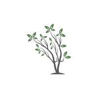 Tree Vector ,hand drawn,  illustration of  Olive tree vector design template