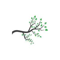 Vector branch , Hand drawn illustration of tree branch design template