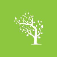 Vector branch , Hand drawn illustration of tree branch design template