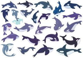 Killer whale icons set, cartoon style vector