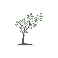 Tree Vector ,hand drawn,  illustration of  Olive tree vector design template