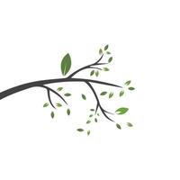 Vector branch , Hand drawn illustration of tree branch design template