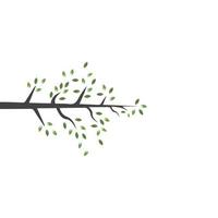 Vector branch , Hand drawn illustration of tree branch design template